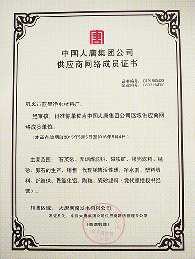 大唐集團入網證 大唐集團入網證